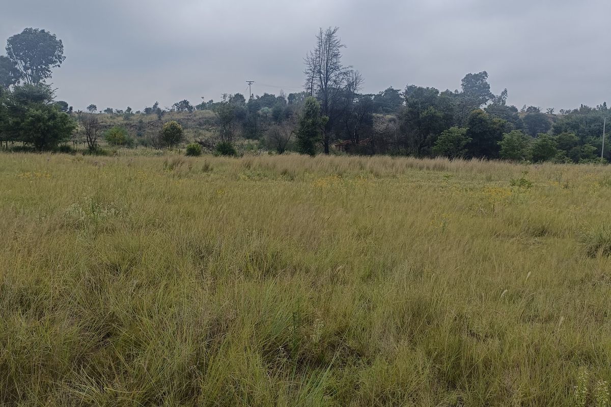 Farm For Sale In Cullinan - Photo 5