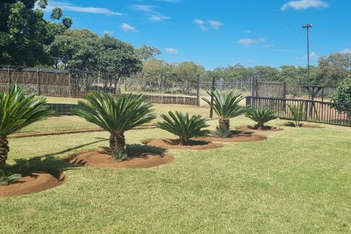 Farm For Sale In Cullinan - Photo 3