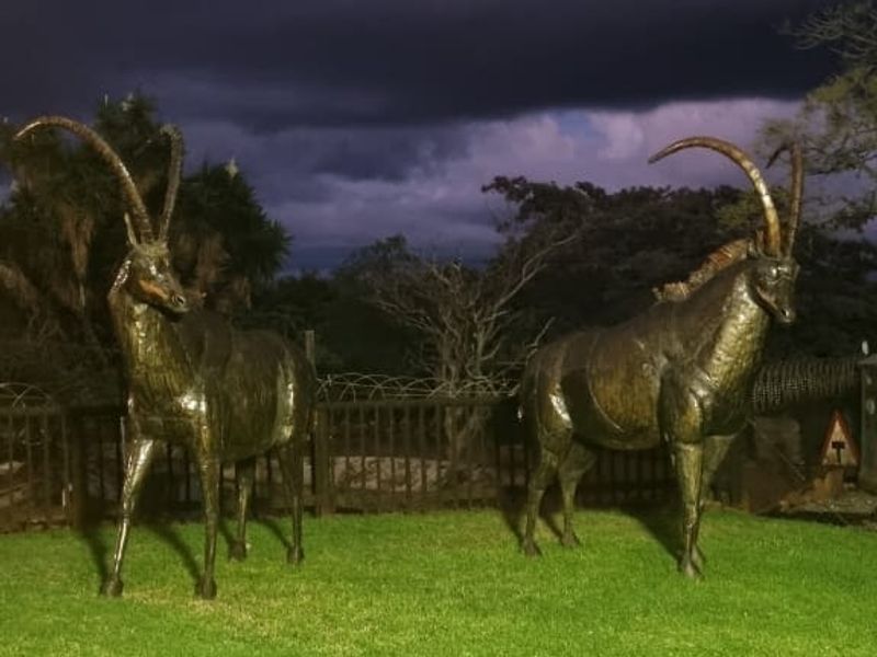 Farm For Sale In Cullinan - Photo 5