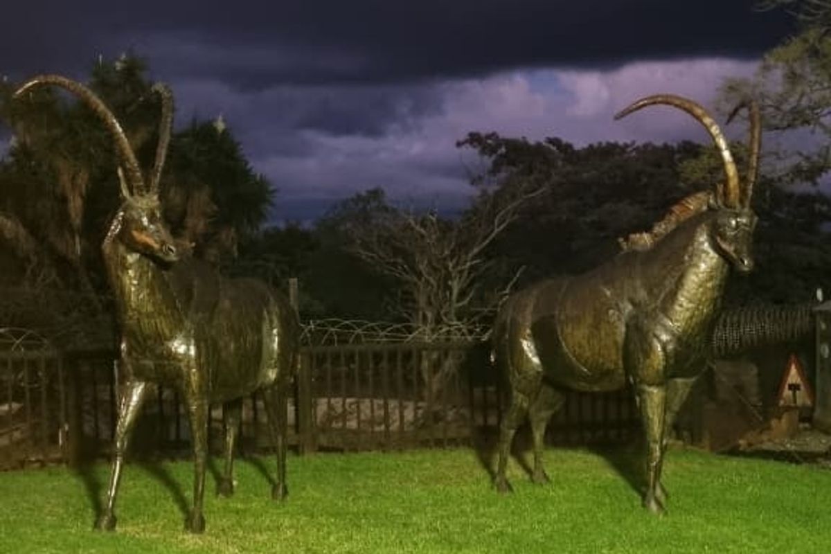 Farm For Sale In Cullinan - Photo 5