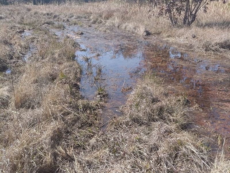 Farm For Sale In Cullinan - Photo 3