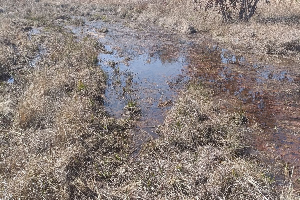 Farm For Sale In Cullinan - Photo 3