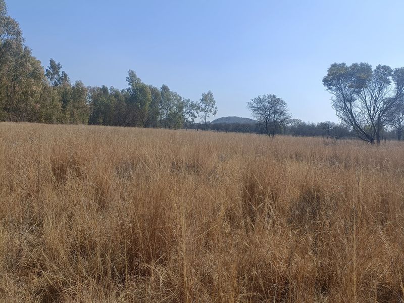Farm For Sale In Cullinan - Photo 2