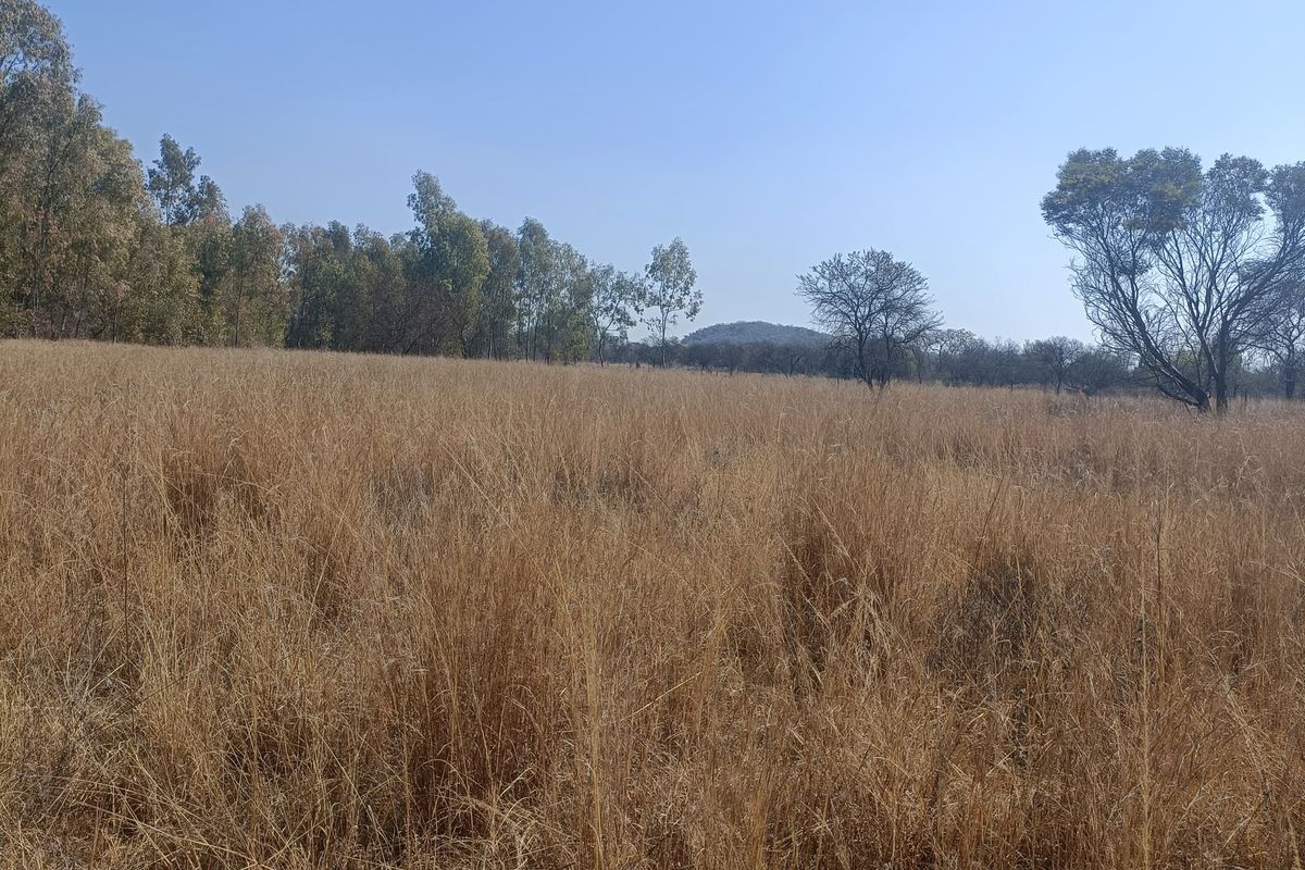 Farm For Sale In Cullinan - Photo 2