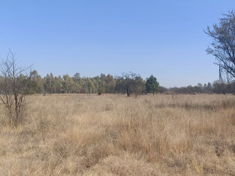 Farm For Sale In Cullinan - Photo 8