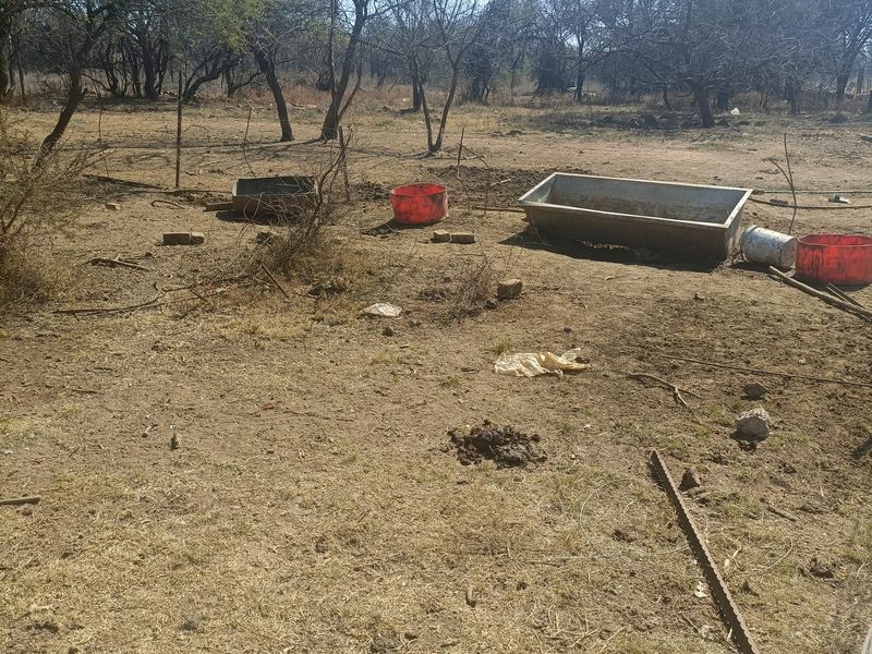 Farm For Sale In Cullinan - Photo 6