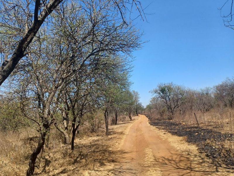 Farm For Sale In Cullinan - Photo 4