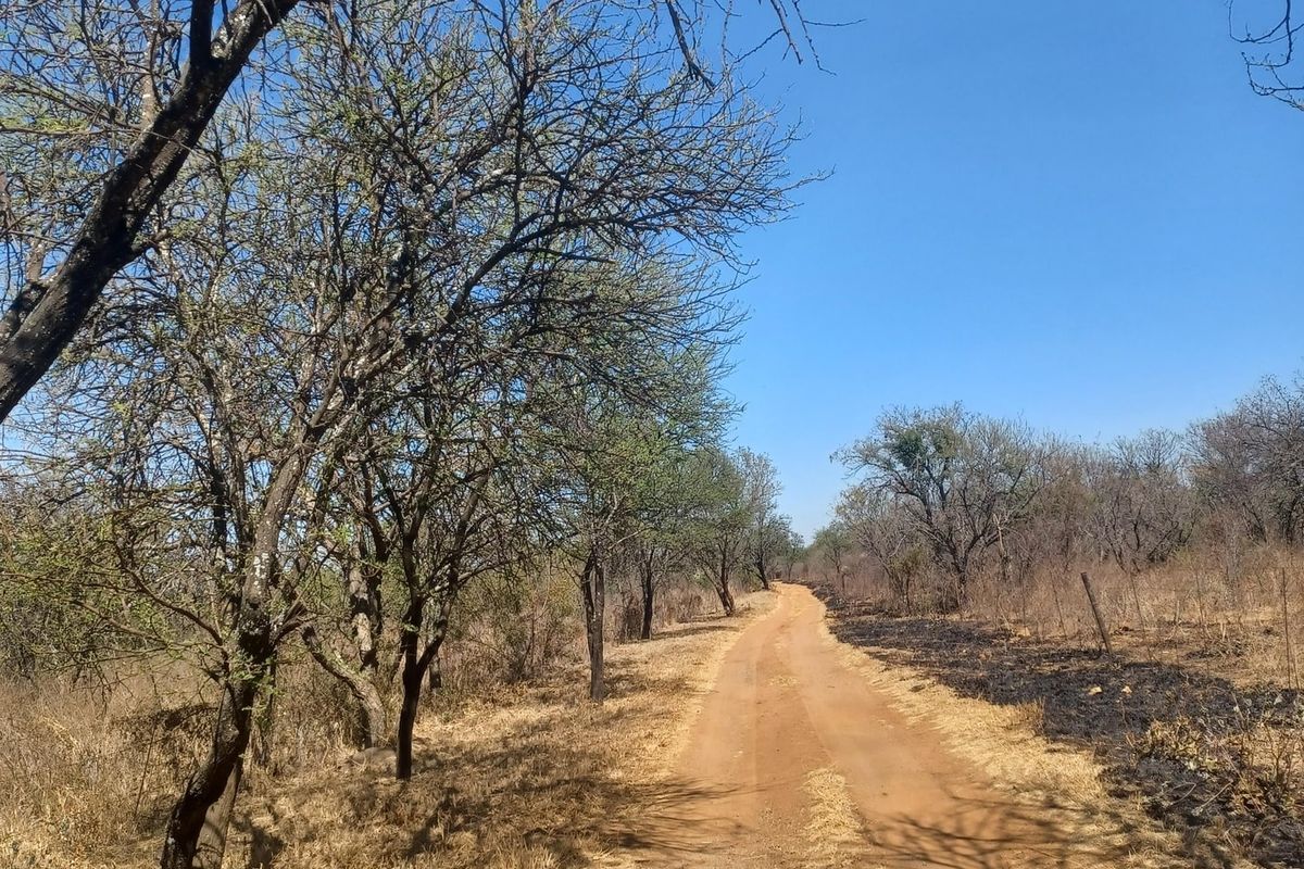 Farm For Sale In Cullinan - Photo 4