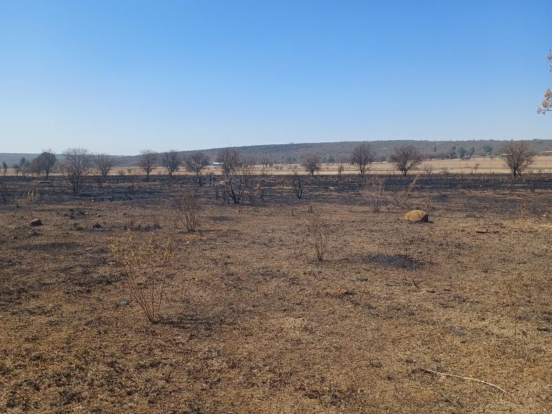 Farm For Sale In Cullinan - Photo 2