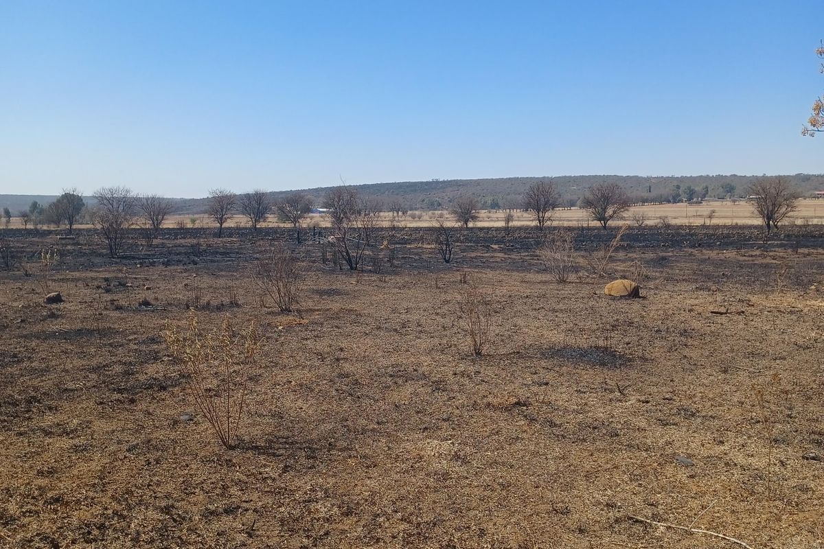 Farm For Sale In Cullinan - Photo 2