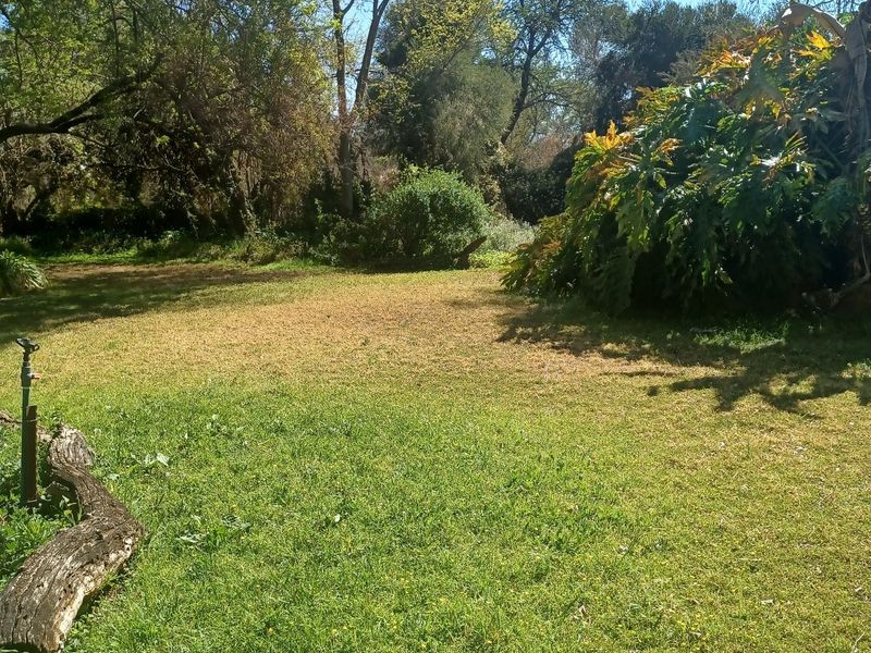 Farm For Sale In Cullinan - Photo 7