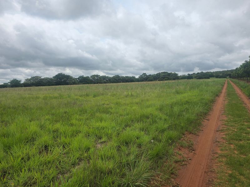 Farm For Sale In Cullinan - Photo 8