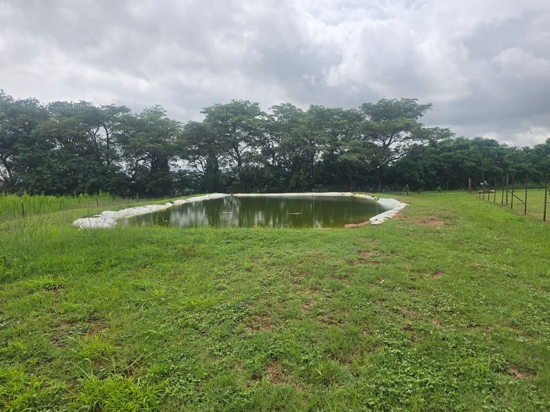 Farm For Sale In Cullinan - Photo 7