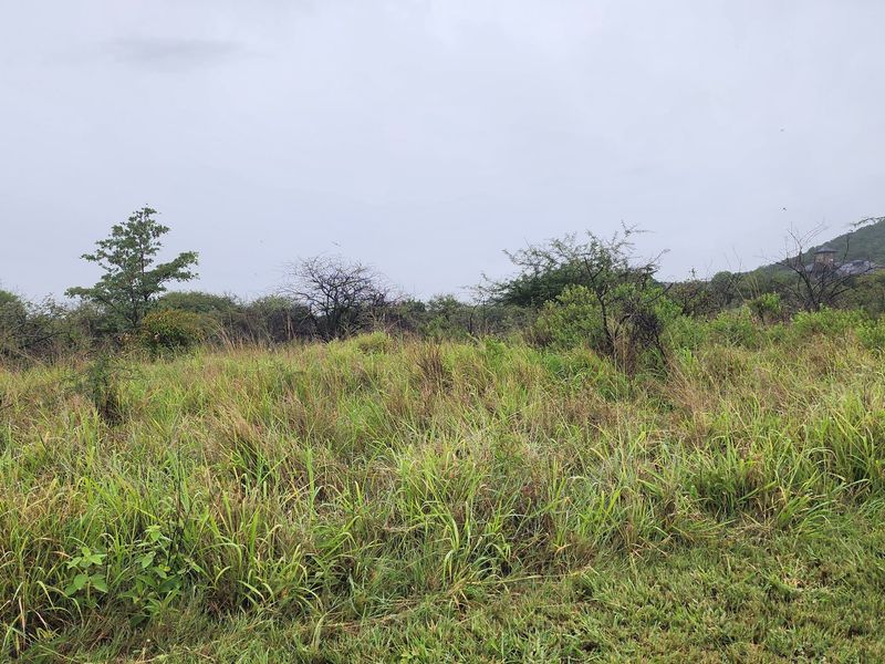A view of a vacant residential plot featuring natural vegetation and grass, suitable for future development.