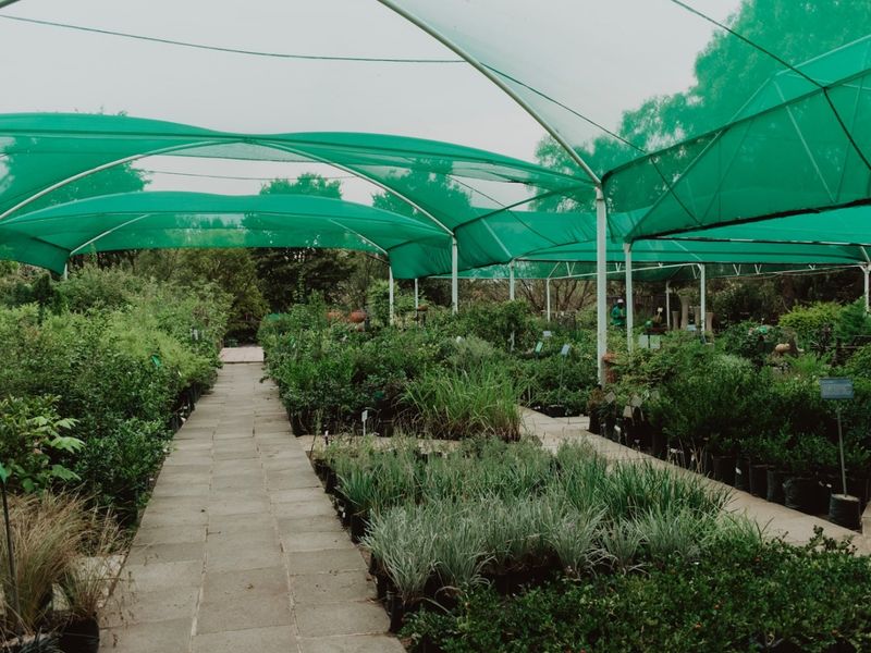 A commercial nursery garden area featuring paved walkways and extensive overhead green shade netting for plant protection.