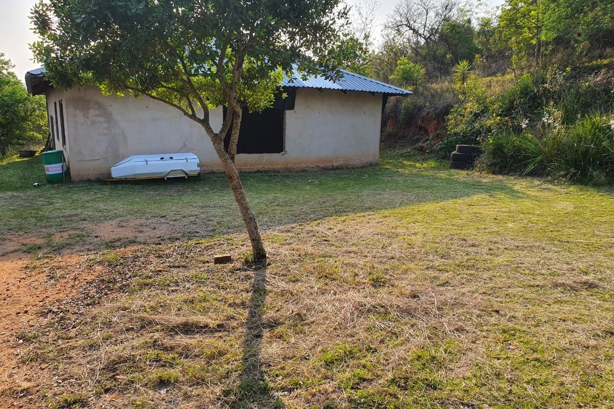Rear view of a farm building featuring a metal roof and plastered exterior walls set within a large, natural garden area.