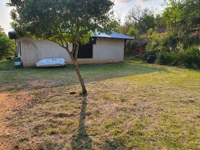 Rear view of a farm building featuring a metal roof and plastered exterior walls set within a large, natural garden area.