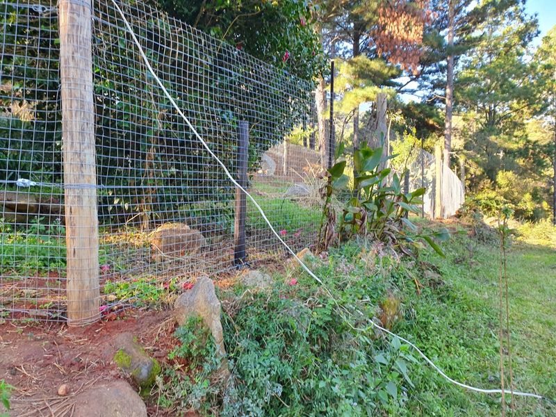 A view of the farm garden perimeter featuring wire mesh fencing supported by timber posts along a sloped landscape.