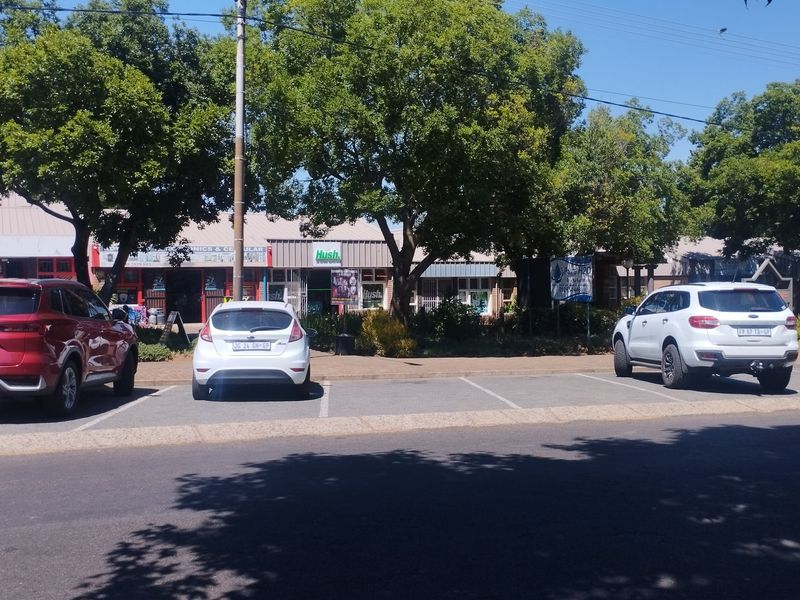 Front view of a commercial strip mall featuring multiple storefronts, paved parking bays, and mature trees providing shade along the building facade.