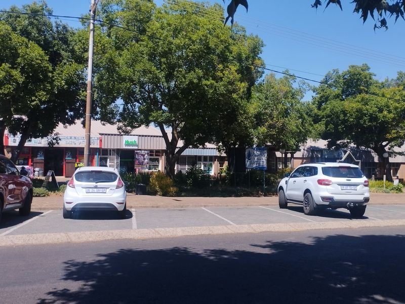 Street-level view of a commercial strip center featuring multiple storefronts, paved parking bays, and mature landscaping.