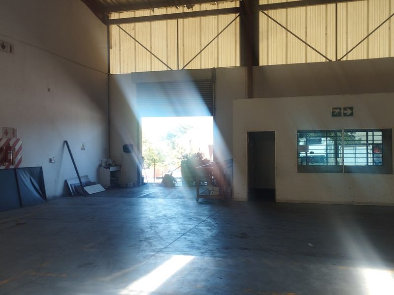 Spacious commercial warehouse or utility space featuring high ceilings, concrete flooring, and a large roller shutter door for easy access.