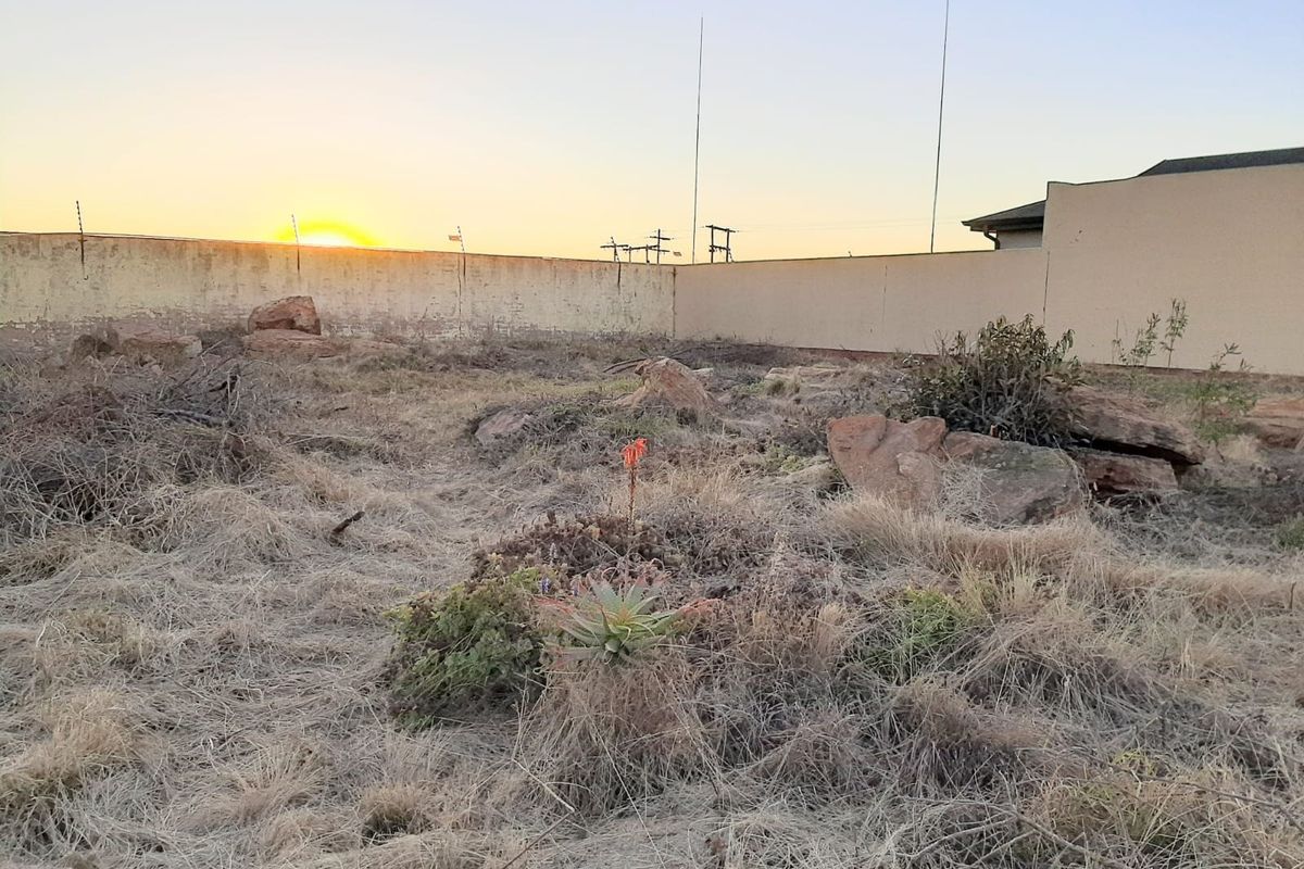 A vacant residential plot featuring natural rock formations, dry vegetation, and a perimeter wall with electric fencing at sunset.