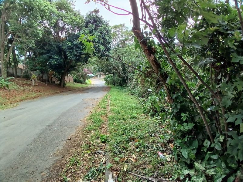 A view of the asphalt street and surrounding mature trees and vegetation bordering the residential land.