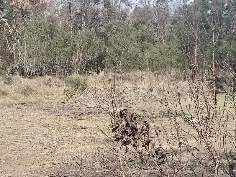 Vacant Land For Sale In Port Elizabeth - Photo 3