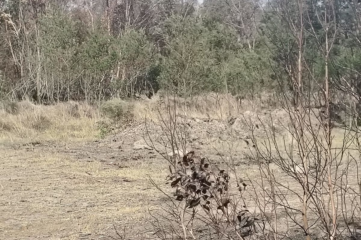 Vacant Land For Sale In Port Elizabeth - Photo 3