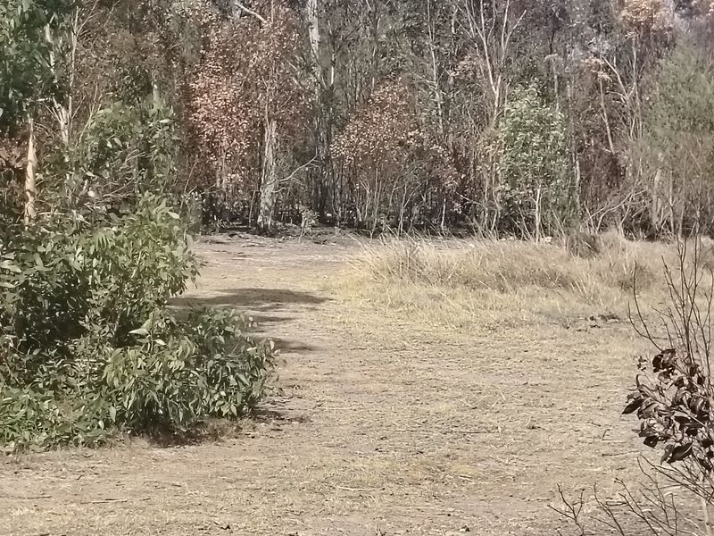 Vacant Land For Sale In Port Elizabeth - Photo 2