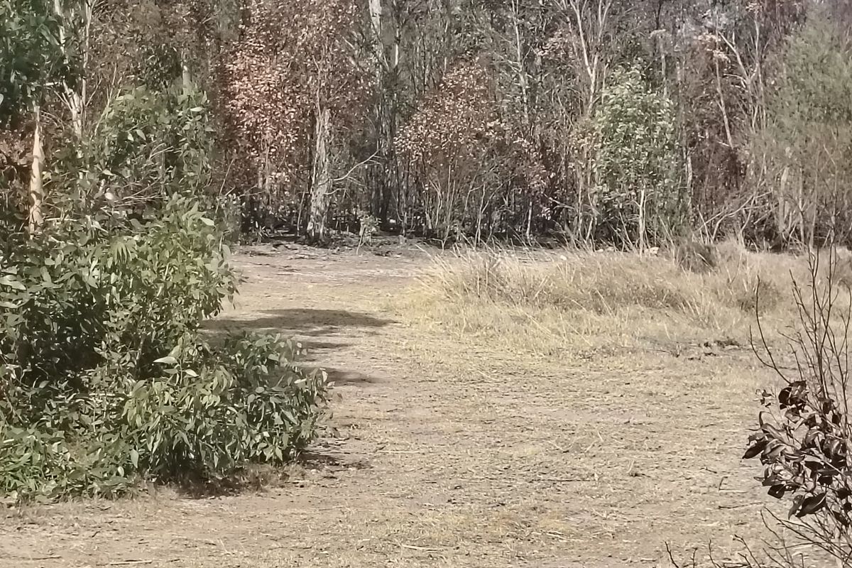 Vacant Land For Sale In Port Elizabeth - Photo 2