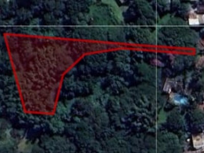Aerial view of a vacant residential land plot with dense vegetation and marked property boundaries.