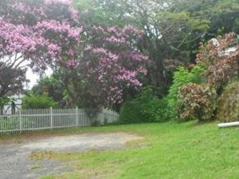 A residential garden area featuring a white picket fence, a stone retaining wall, and mature flowering trees on a sloped plot.