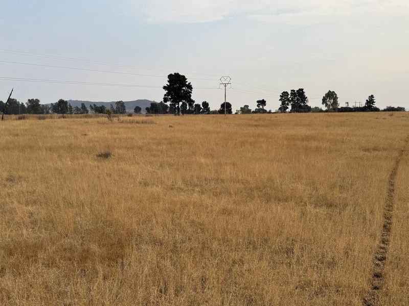 Vacant Land For Sale In Walkerville - Photo 3