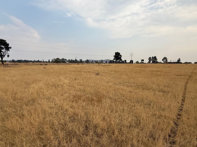 Vacant Land For Sale In Walkerville - Photo 4