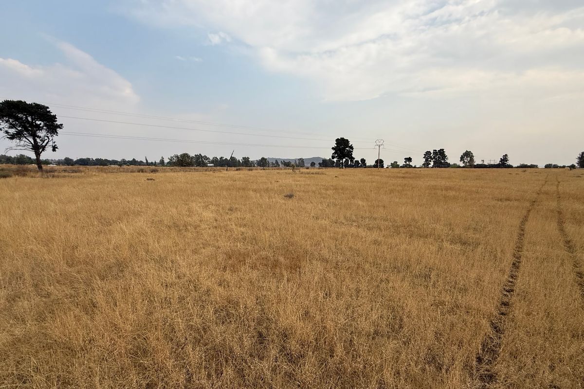 A wide, open expanse of vacant residential land featuring dry grass, scattered trees, and overhead power lines.