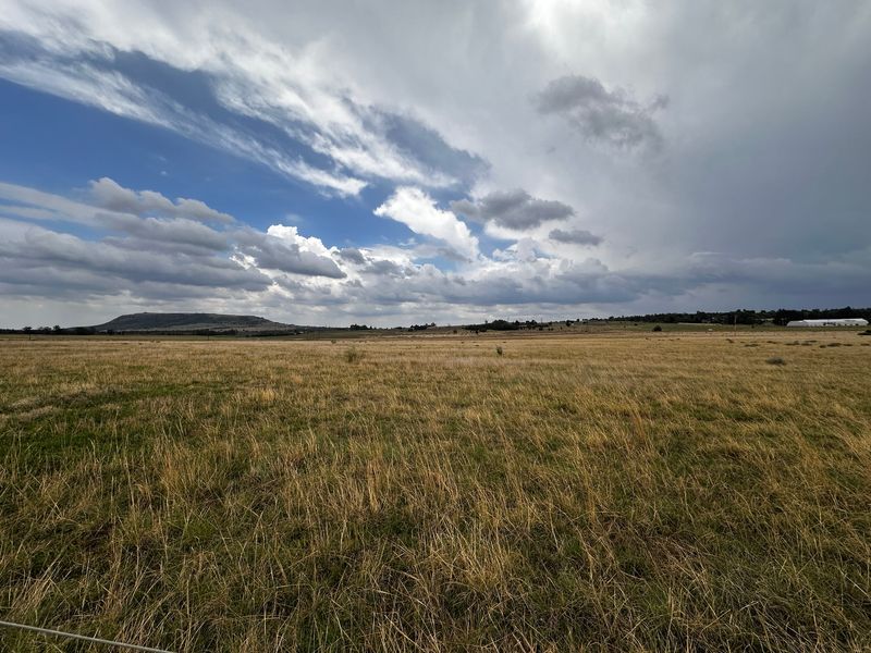 Vacant Land For Sale In Walkerville - Photo 2