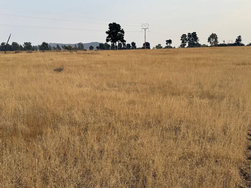 Vacant Land For Sale In Walkerville - Photo 9
