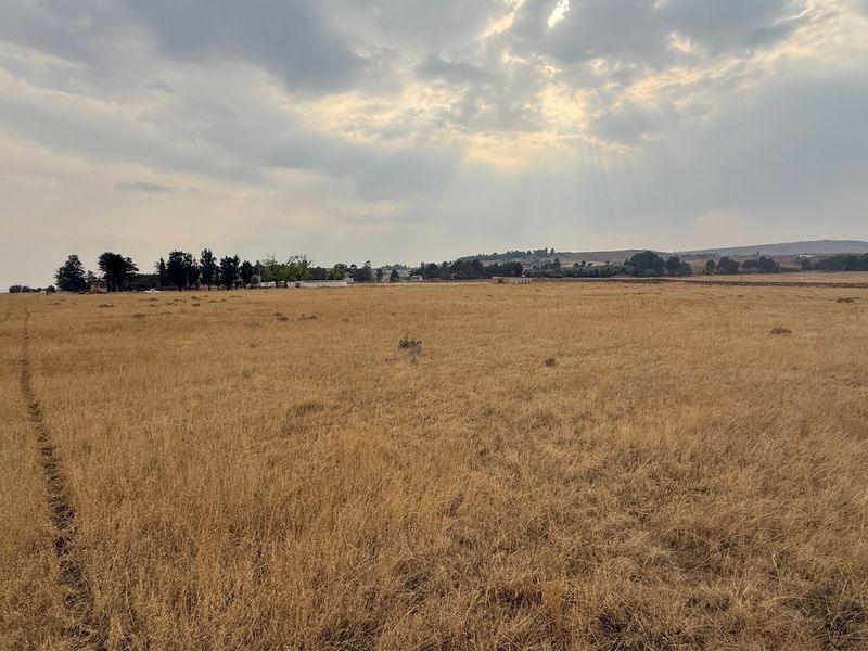 Vacant Land For Sale In Walkerville - Photo 7