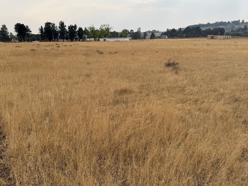 Vacant Land For Sale In Walkerville - Photo 8