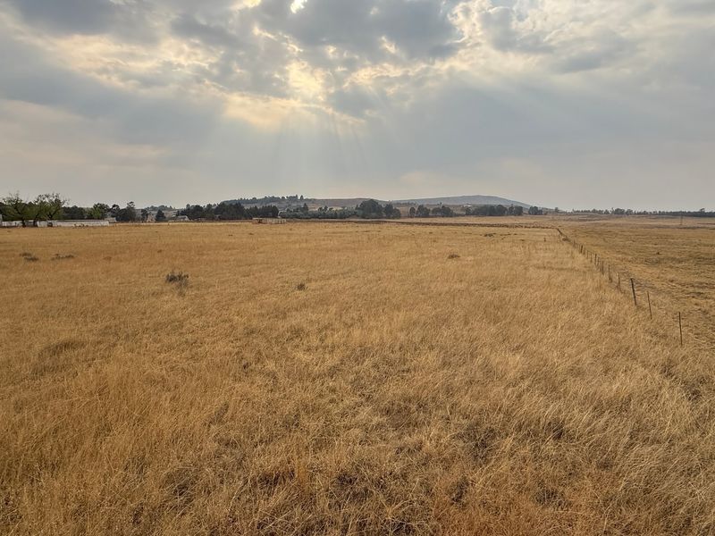Vacant Land For Sale In Walkerville - Photo 6