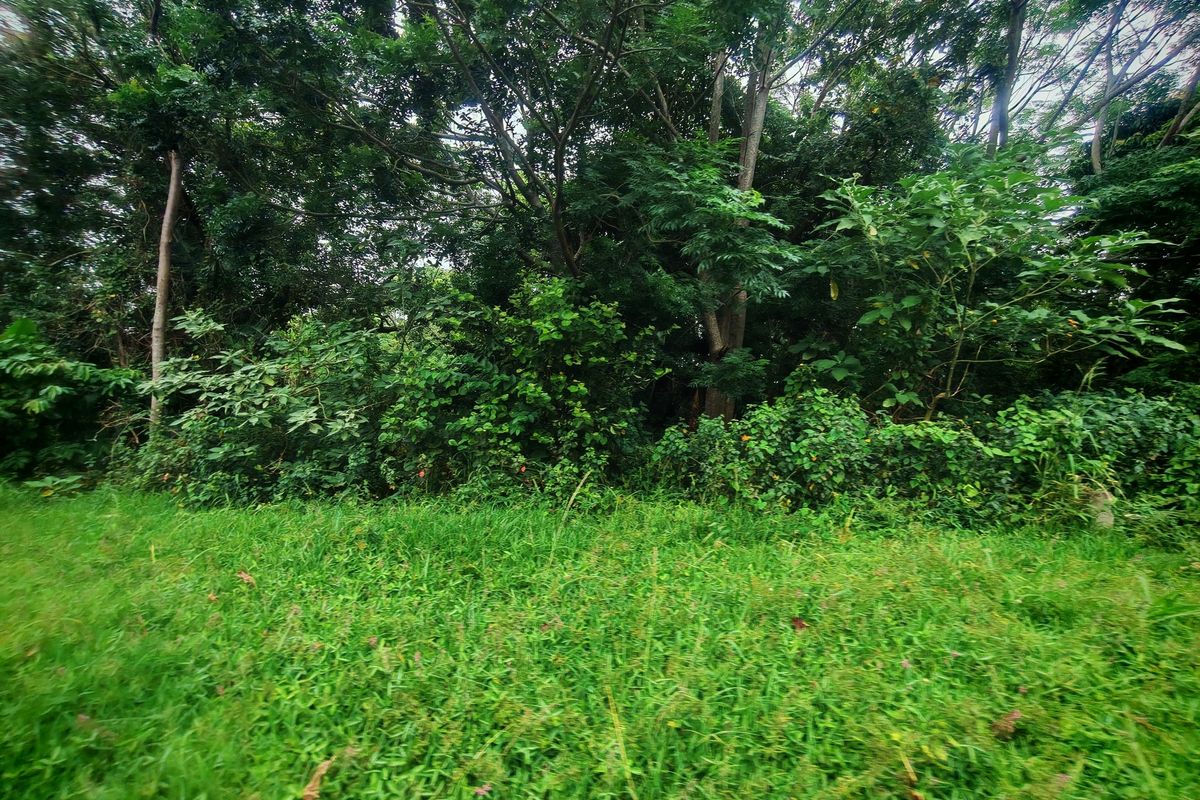 Vacant Land Sold In Margate - Photo 5