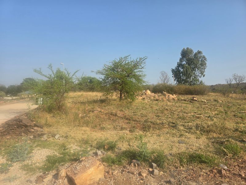 Vacant Land Pending Sale In Cullinan - Photo 10