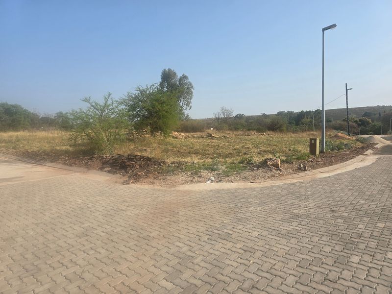 Vacant Land Pending Sale In Cullinan - Photo 9
