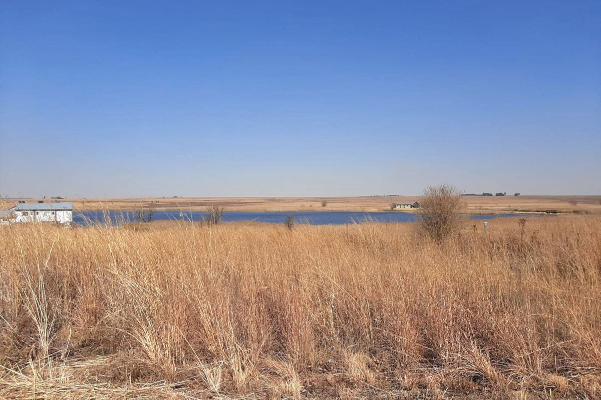 A scenic view of an open field with dry grass leading to a distant water body under a clear blue sky.