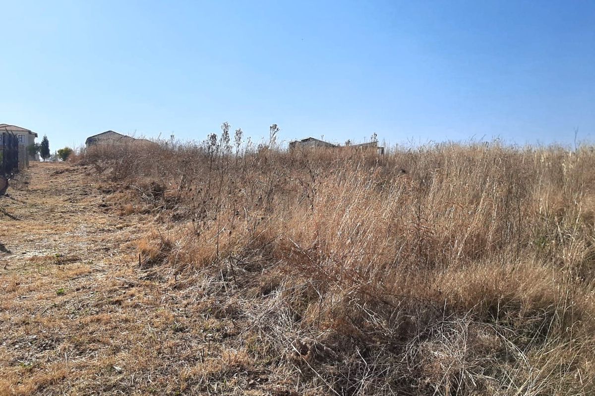 A vacant residential plot of land featuring dry, overgrown grass and a clear view of the surrounding neighborhood.