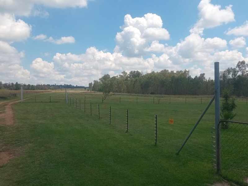 Farm Pending Sale In Bronkhorstspruit - Photo 5