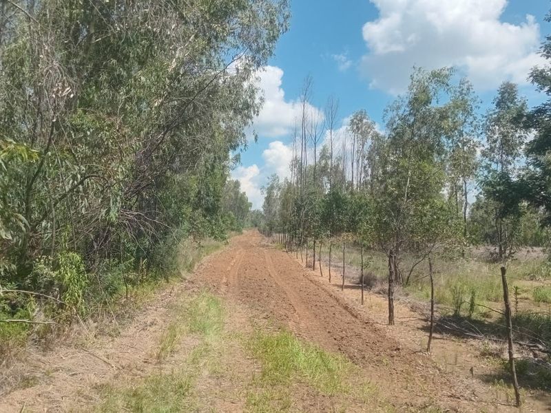 Farm Pending Sale In Bronkhorstspruit - Photo 6