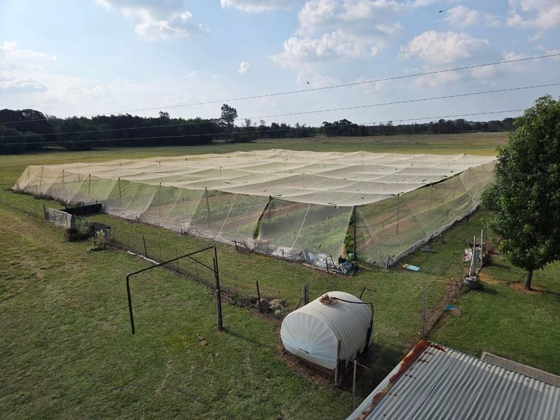 Farm Pending Sale In Bronkhorstspruit - Photo 7