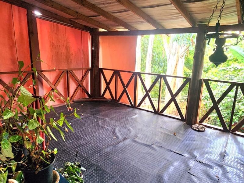 A covered outdoor patio area featuring a timber balustrade and roof structure, offering a rustic space overlooking the surrounding garden.